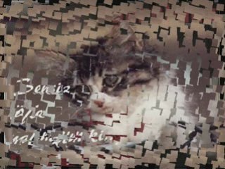 ölürmüydün beni biraz daha sevsen