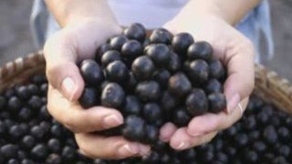 super acai berry juice effective for weight loss