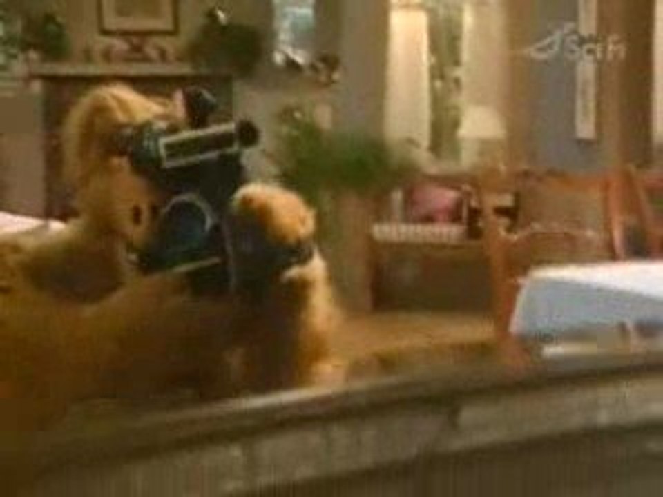 Alf