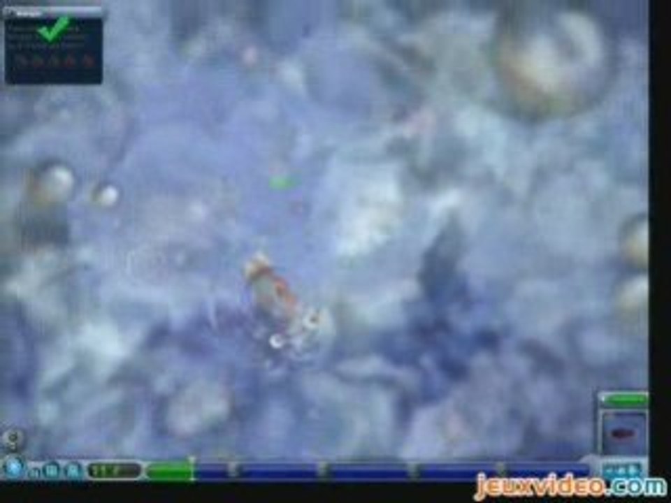 Spore