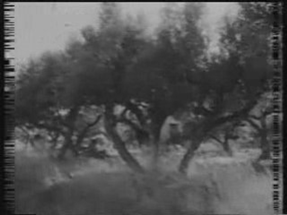 Le petit train de memoire