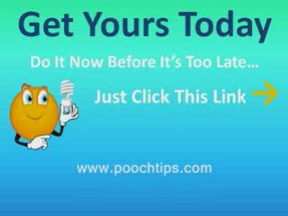 special instruction dog house training