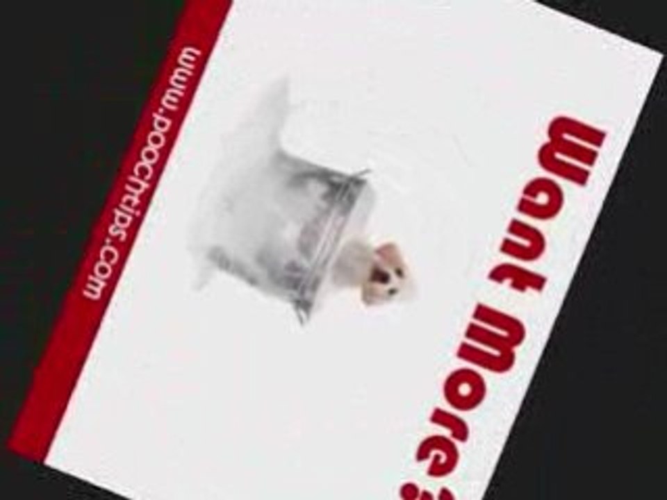 buy dog training dvd and save in 2009