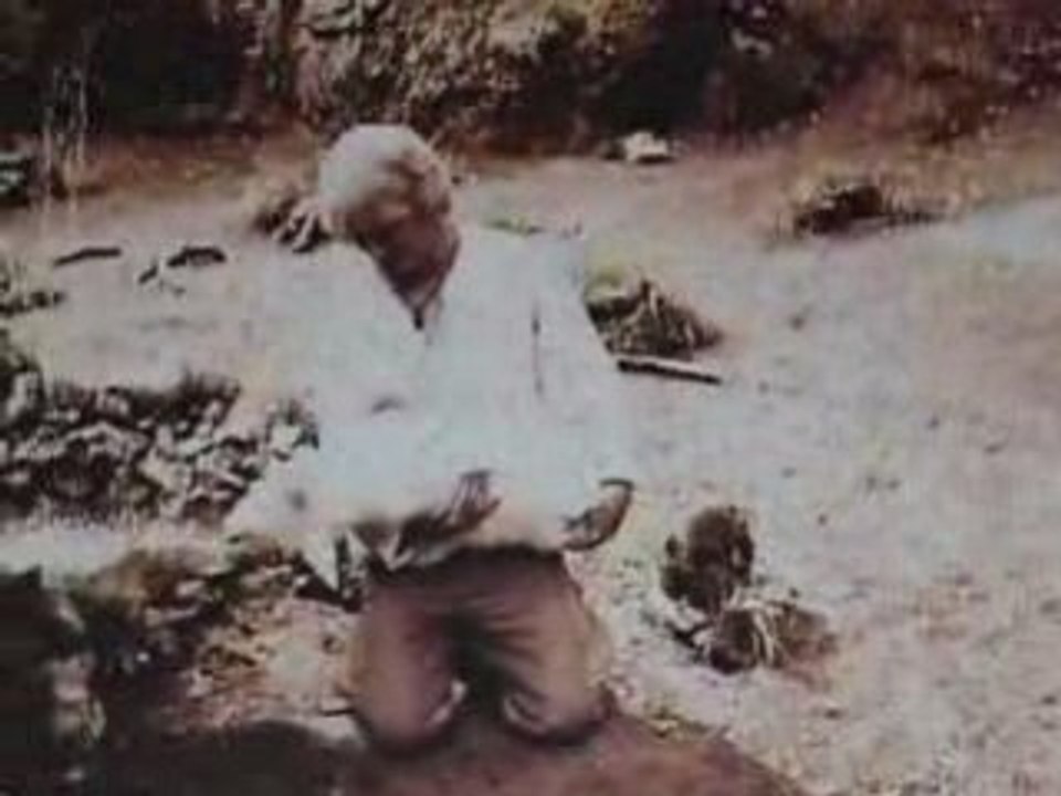 Burt the Performing Bear