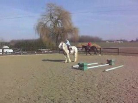 trot et passege sur les barres....