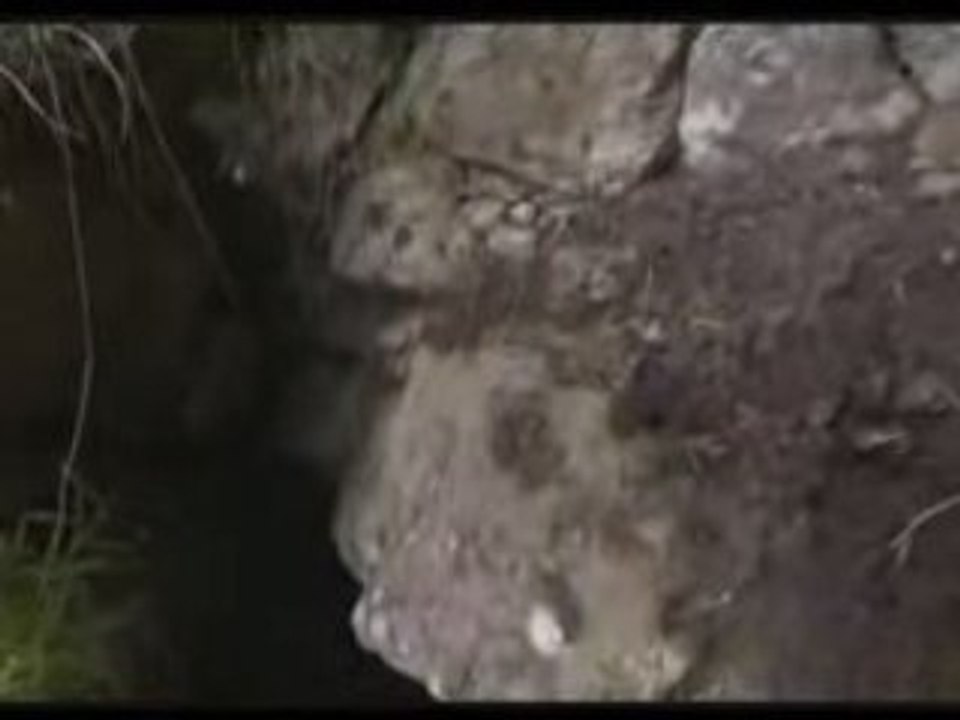 Planète terre-les montagnes (3 de 4)