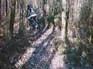 Sortie du 15-02-2009