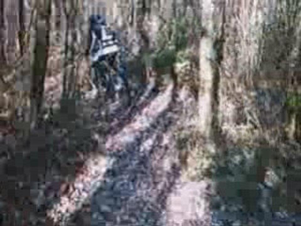 Sortie du 15-02-2009