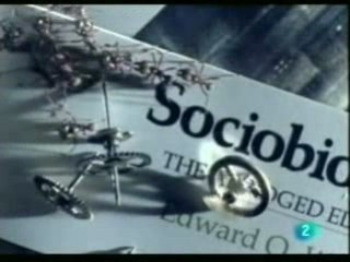 Sociobiologia: El gen egoista (E.O. Wilson)