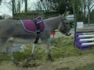 martin liberté 08/02/09 5