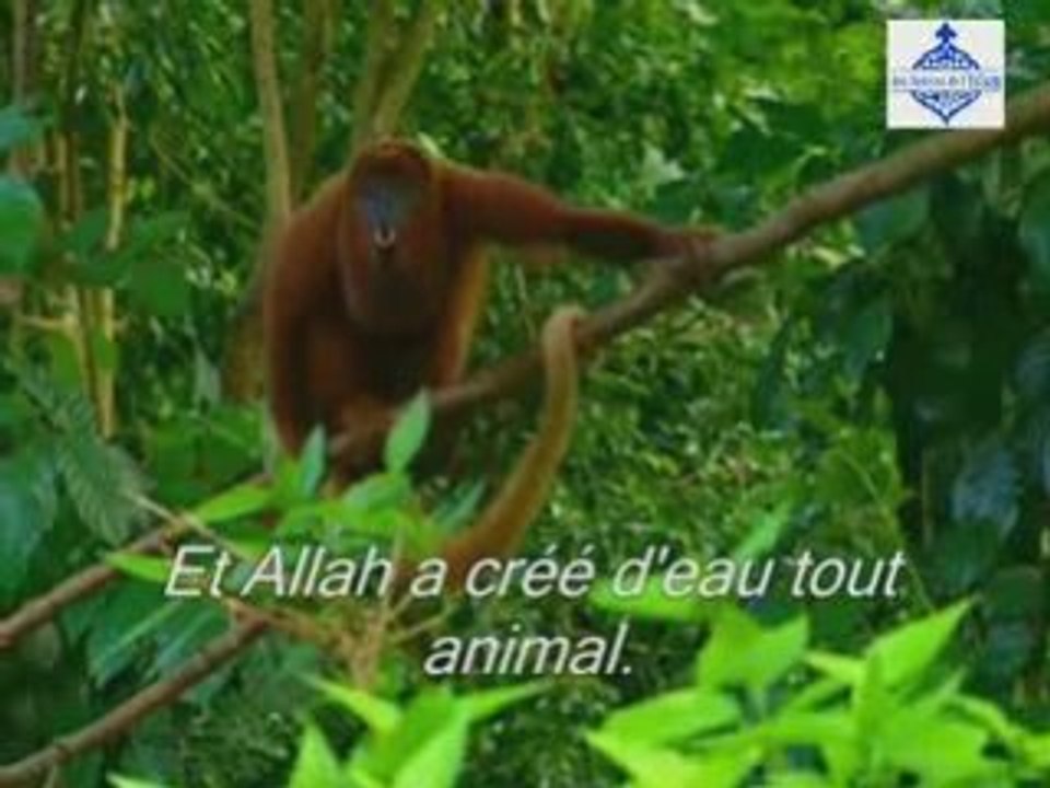 03 - Il est le créateur des cieux et de la terre