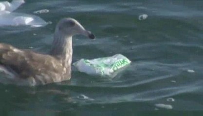 TOXIC - GARBAGE ISLAND PART 2