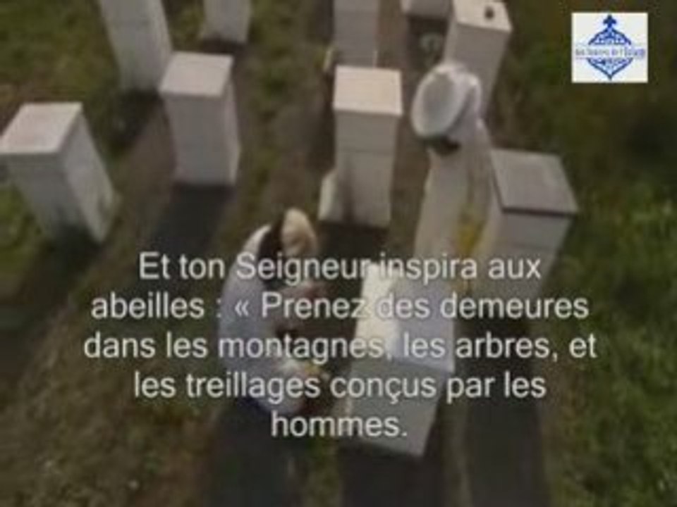 04 - C'est Lui qui à crée pour vous tout