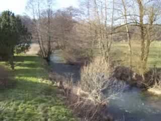 lanques sur rognon le rognon