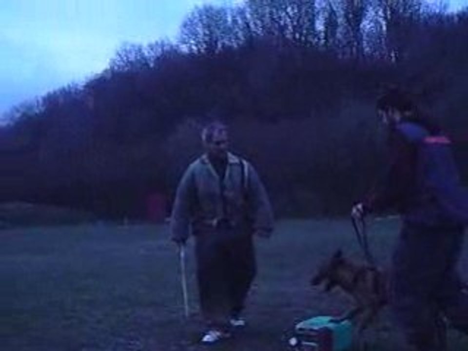 Dixie 6mois 1/2 - Valise / garde d'objet (janvier 2009)