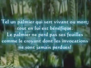 Le croyant est tel un palmier