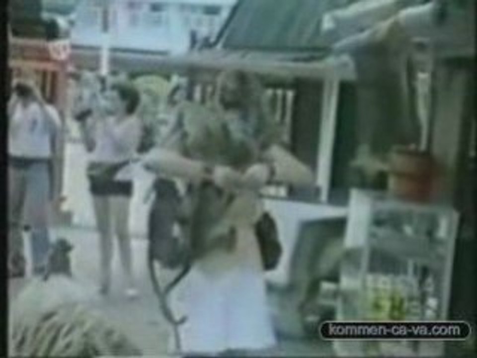 Fun vidéo animal