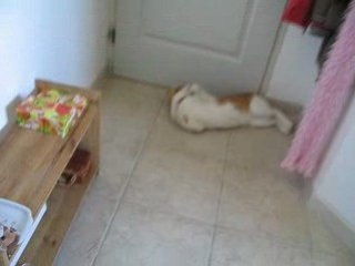 Eclair beau bébé qui s'étant