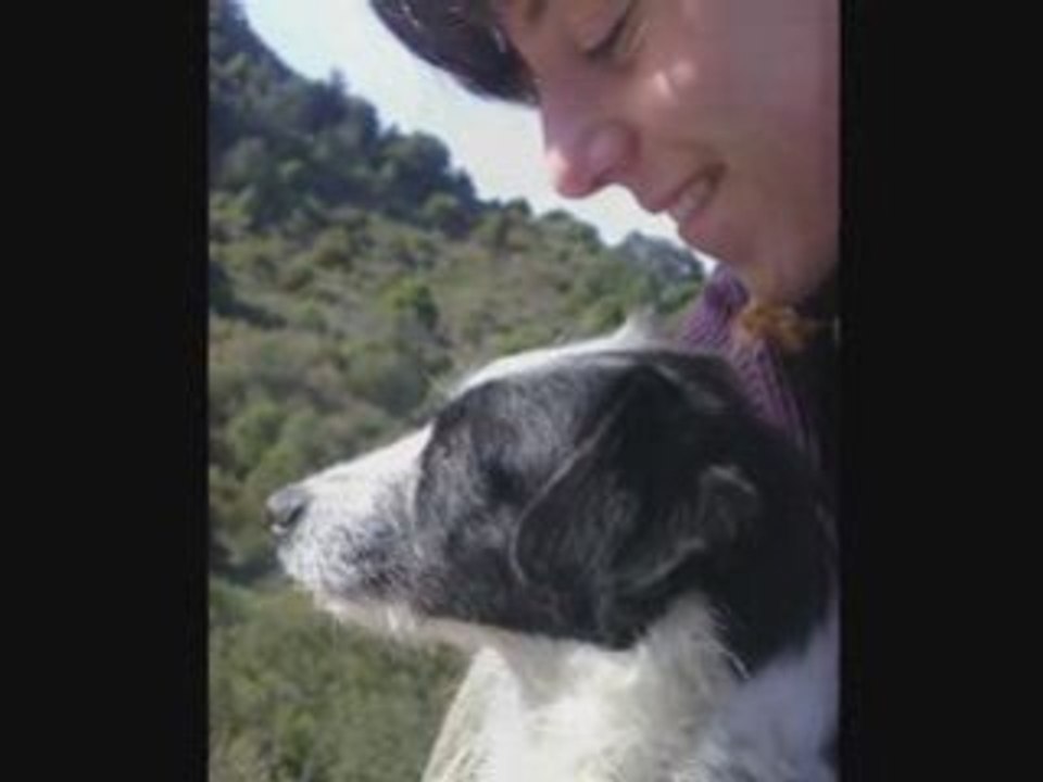 Obéissance-Rythmée à ... Trois !