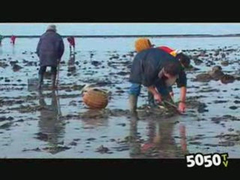 Menace sur l'Estran de Saint-Martin de Bréhal