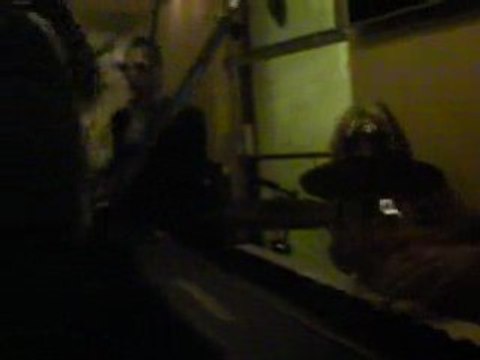 Blackout - Disco garage - Café Salud 2009