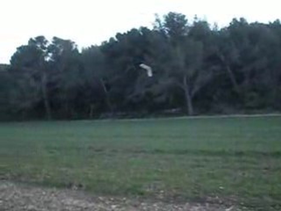 swift 2 aile volante