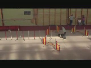 Jumping Audun c'ven 2009