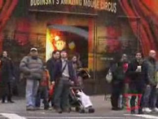 Coraline - Inwindow Outdoor