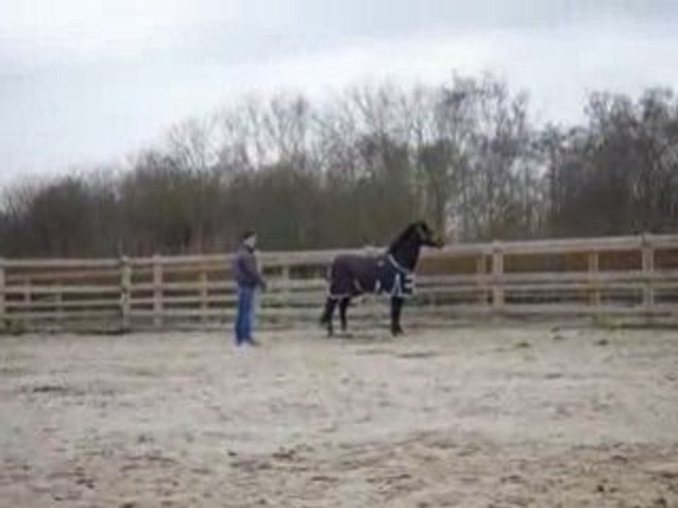 Rap' et Lucas : paddock