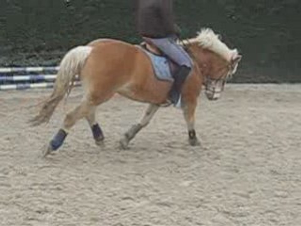 Octa Plat