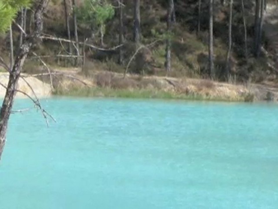 BURMA SHAVE  hippies