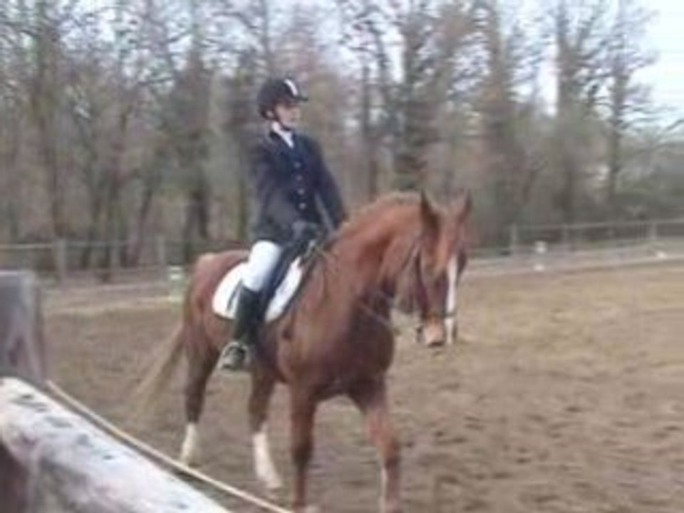 Concours de dressage le 15/02/09