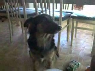 jeune talent de chanteuse