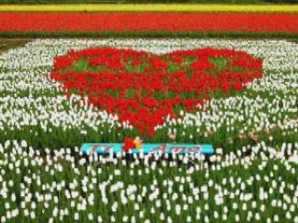 Gigi Finizio - 'Gli amori veri'(iOK5DhfZp2w)