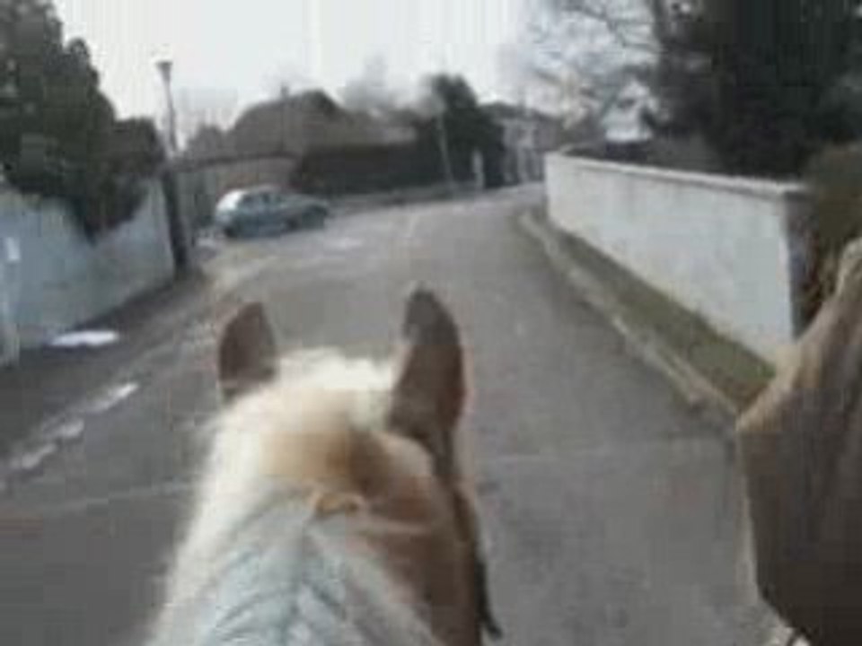 Balade 14 fevrier