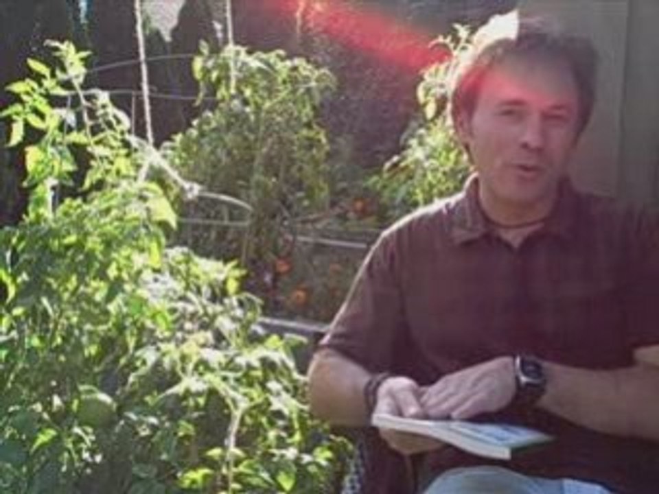 Free Weight Loss Hypnosis | Weight Loss Hypnosis Program