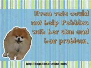 Linda Kadja's Dog Skin Solutions