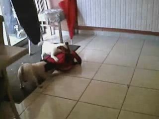 Vidéo du 16 fév 2009 ab