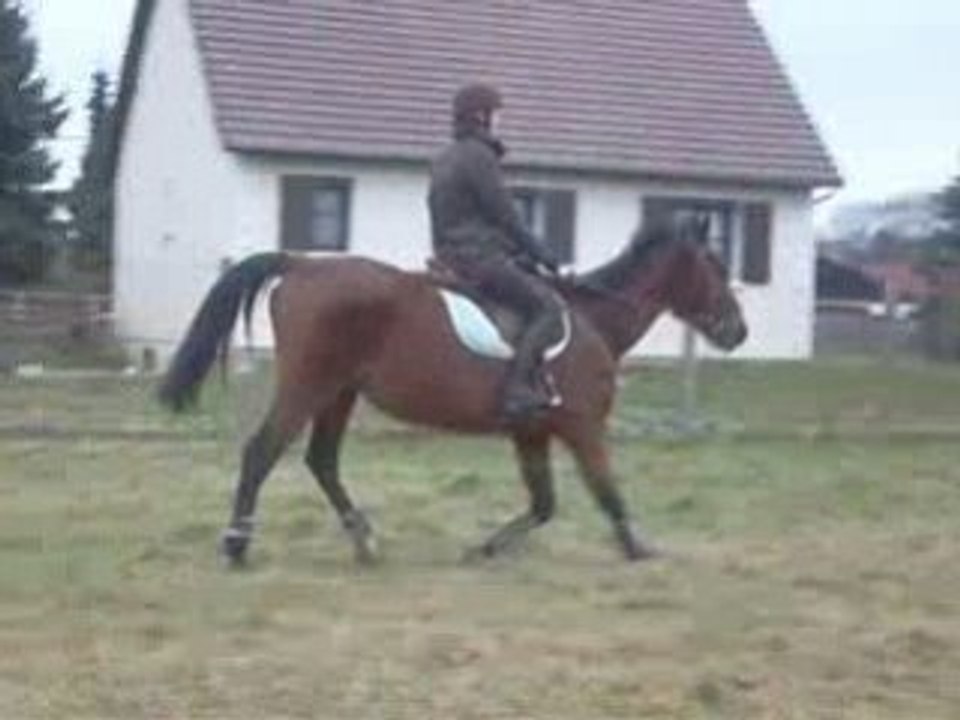 Aulne et moi Reprise (suite et fin)
