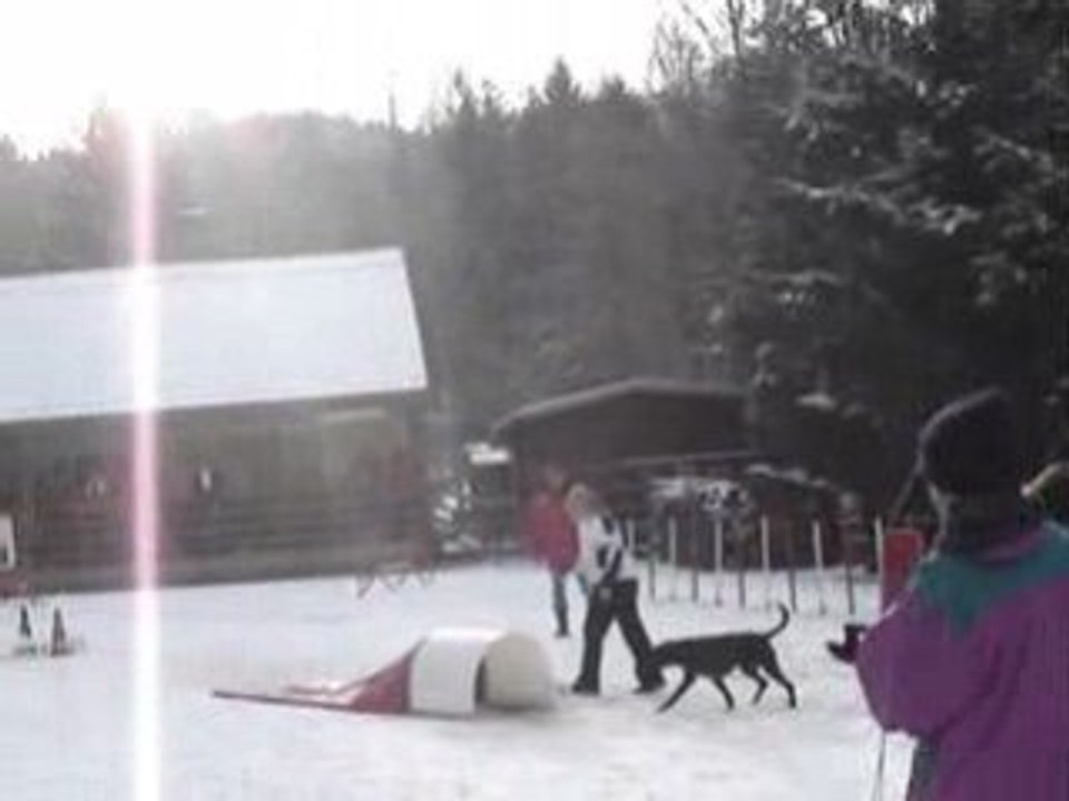Jumping betty boop