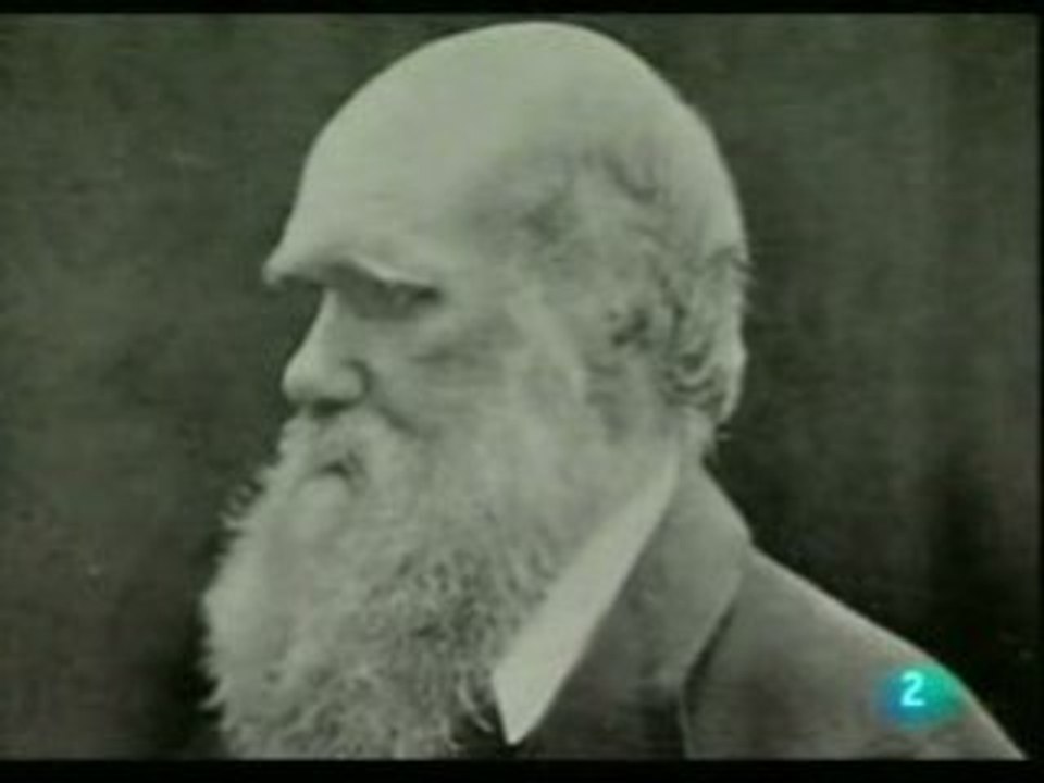 Darwin: Biografia (3)