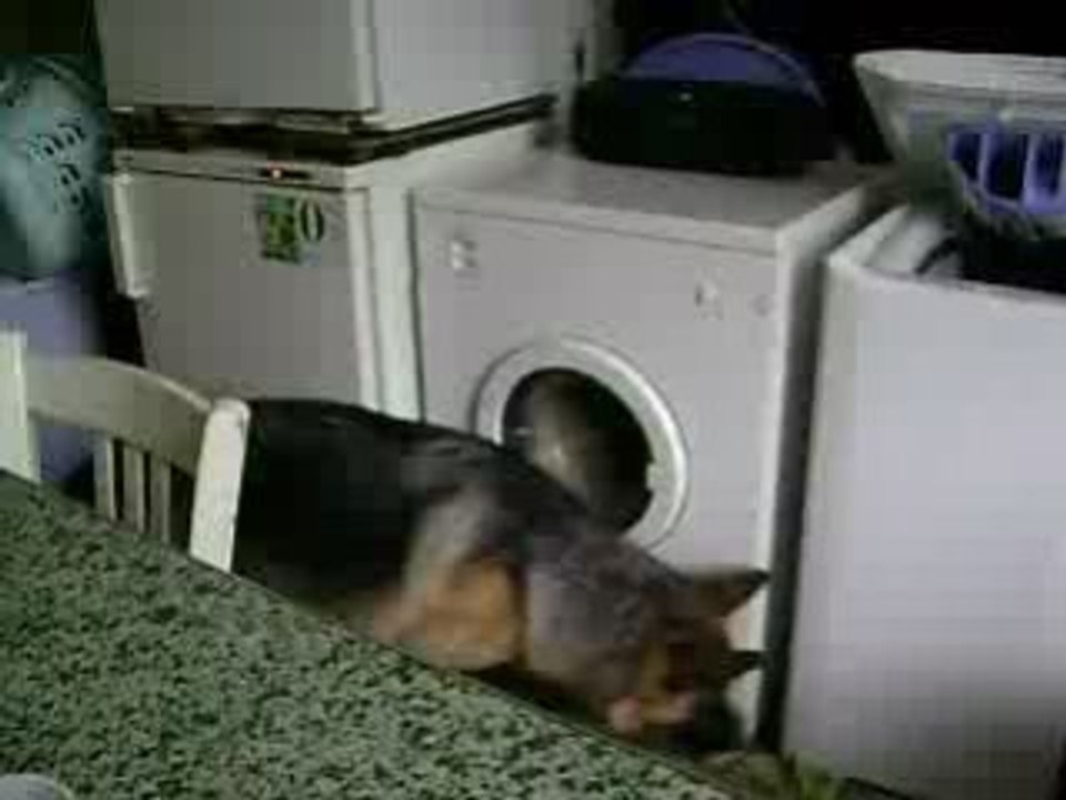 le sèche linge et duck