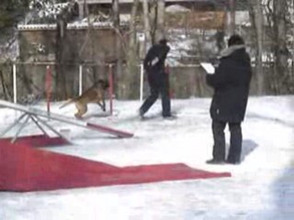 Agility benson