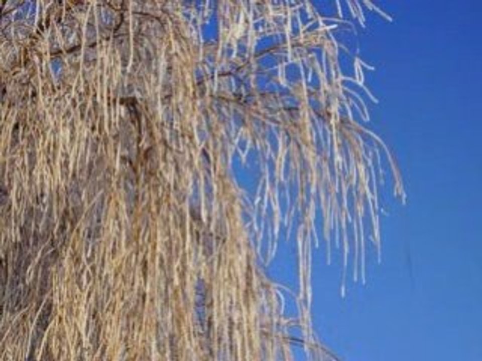 Winterlandschap