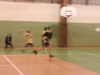 HANDBALL PROFESSIONEL 7
