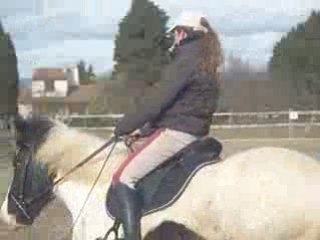Cours équitation 7 fév 3