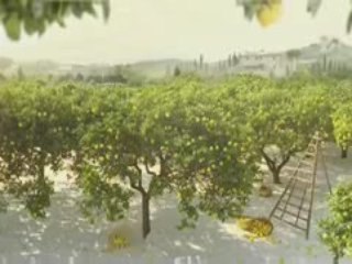 pub Omo aux Huiles essentielles 2009