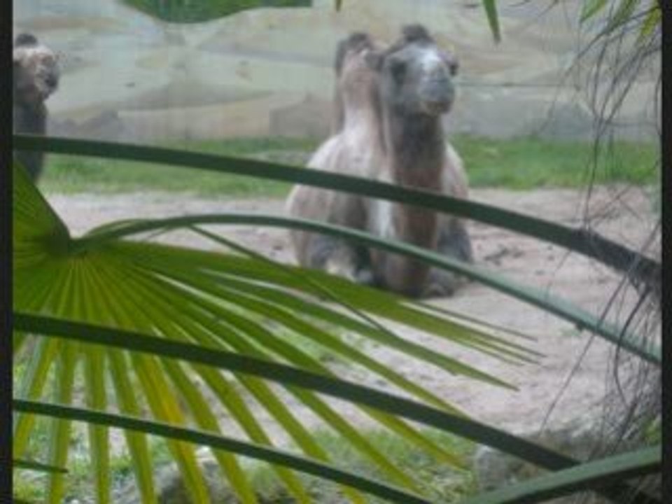 mouspik presente: la moselle