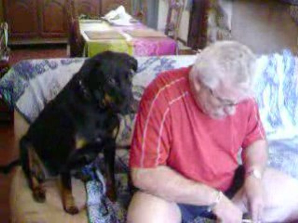 Photo 098