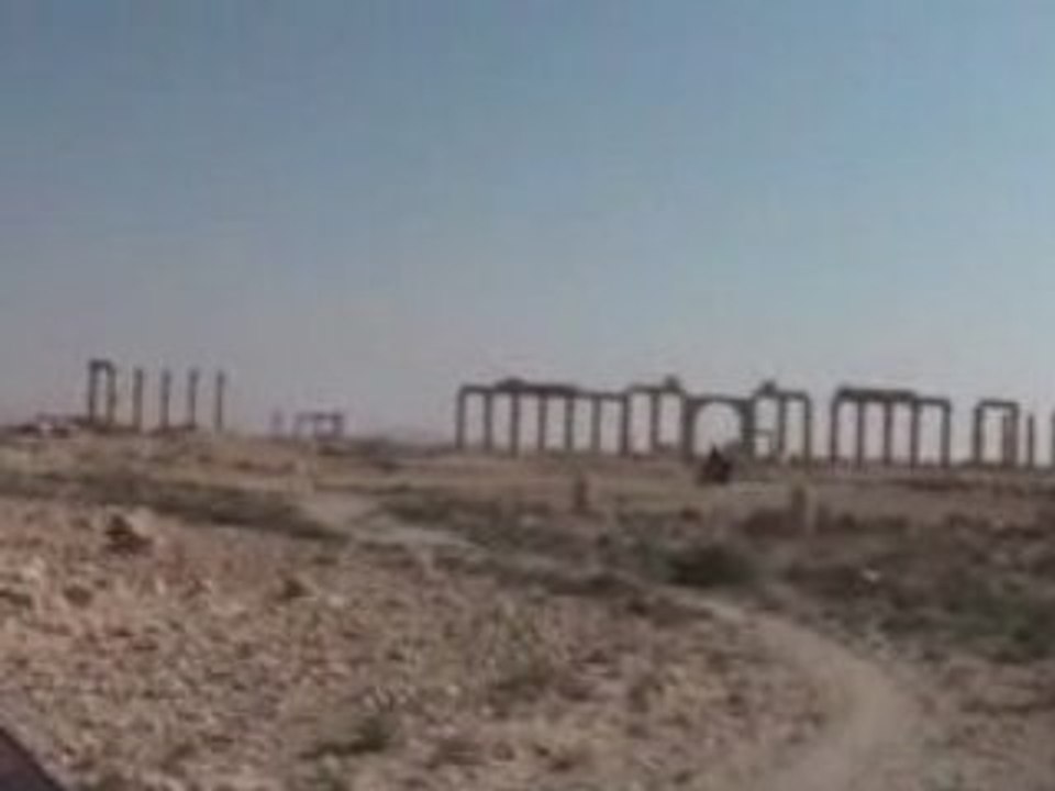 Palmira
